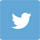 twitter icon