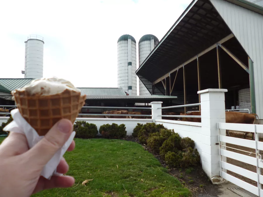 Lapp Valley Farm Ice Cream