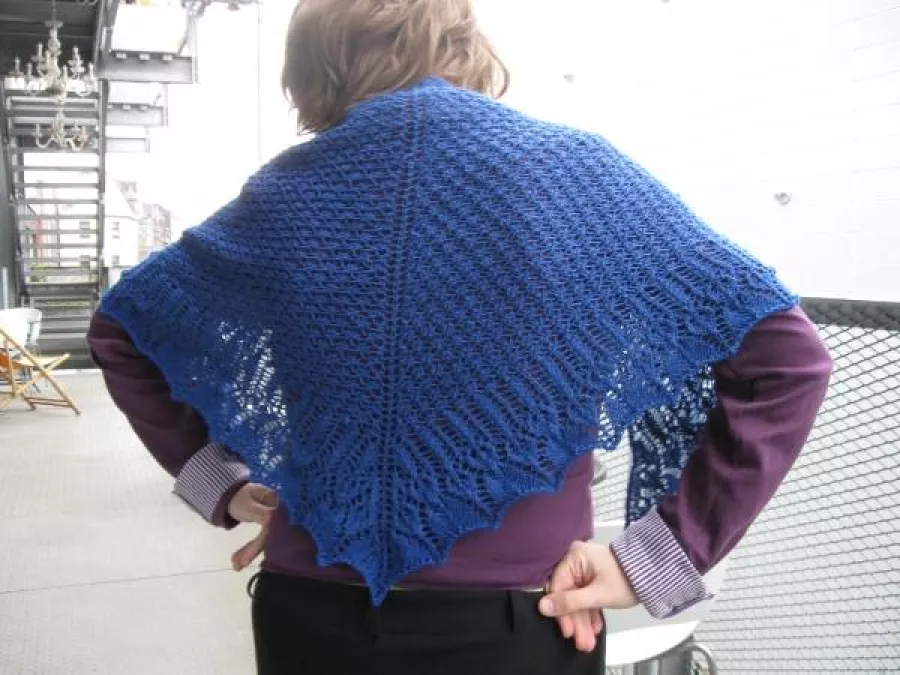 I did knit a shawl in 2012