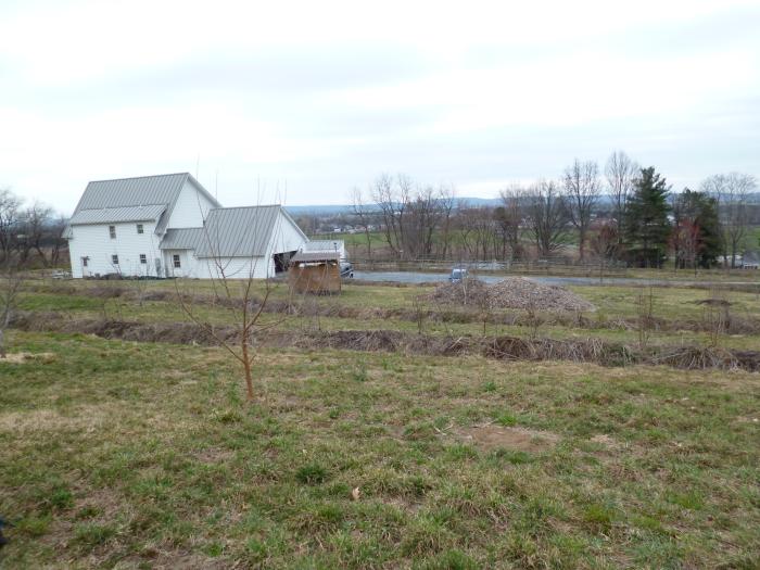 Phil Williams' Permaculture farm