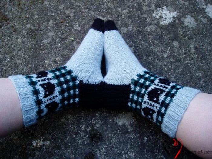 Kitty socks, knit by Worsted Knitt 