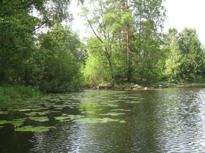 Canoeing