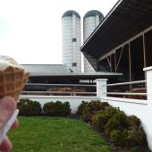 Lapp Valley Farm Ice Cream