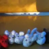 All mice for KYH 2010